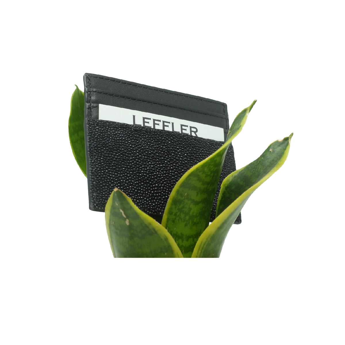 Stingray Cardholder – Black