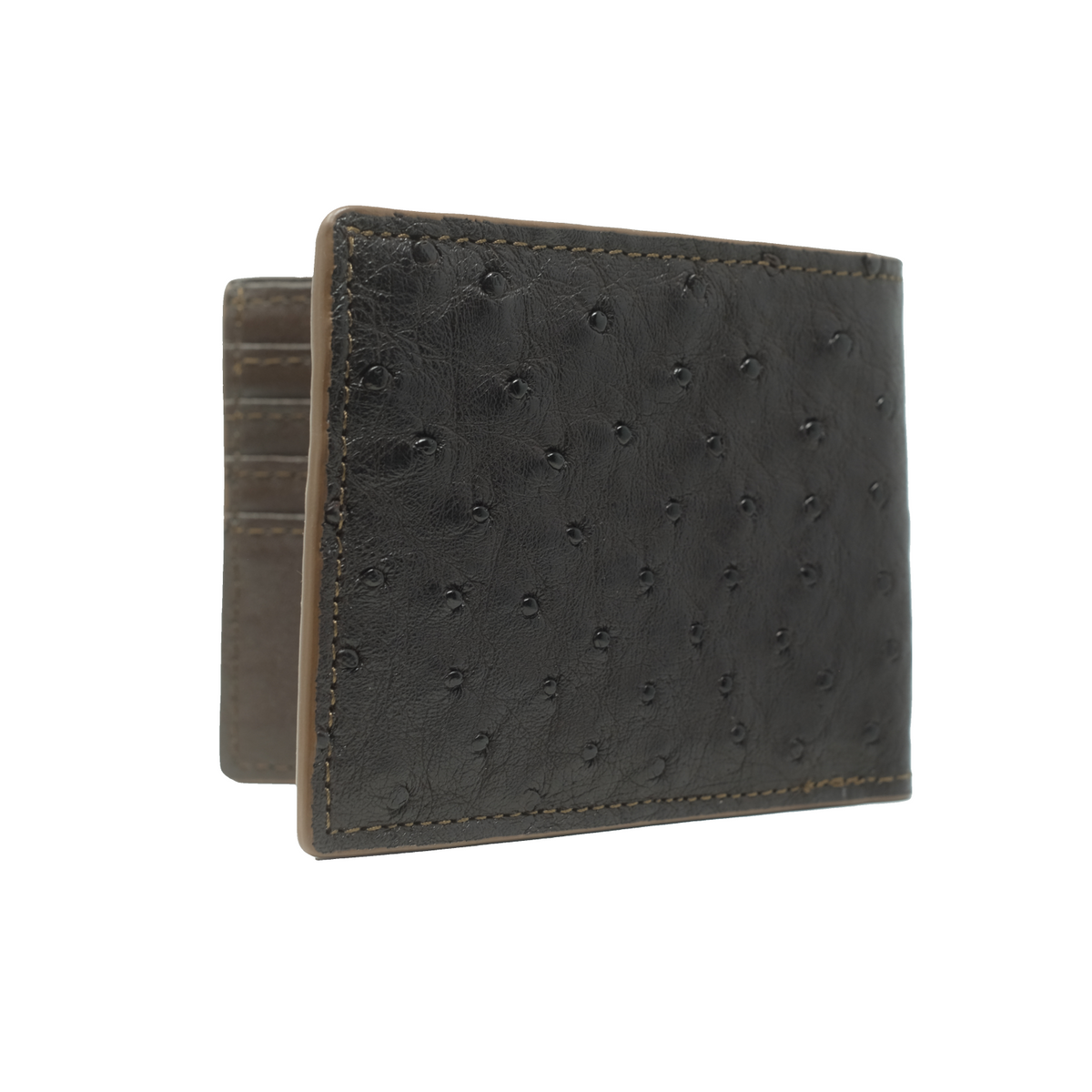 OSTRICH BIFOLD WALLET