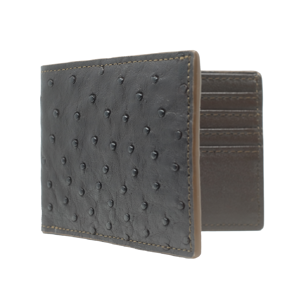 OSTRICH BIFOLD WALLET